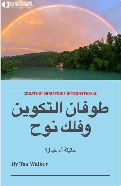 Cover Image for: publications/genesis-flood-noah