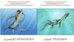رسم لكل من البيليوصوروس والكرونوصورس