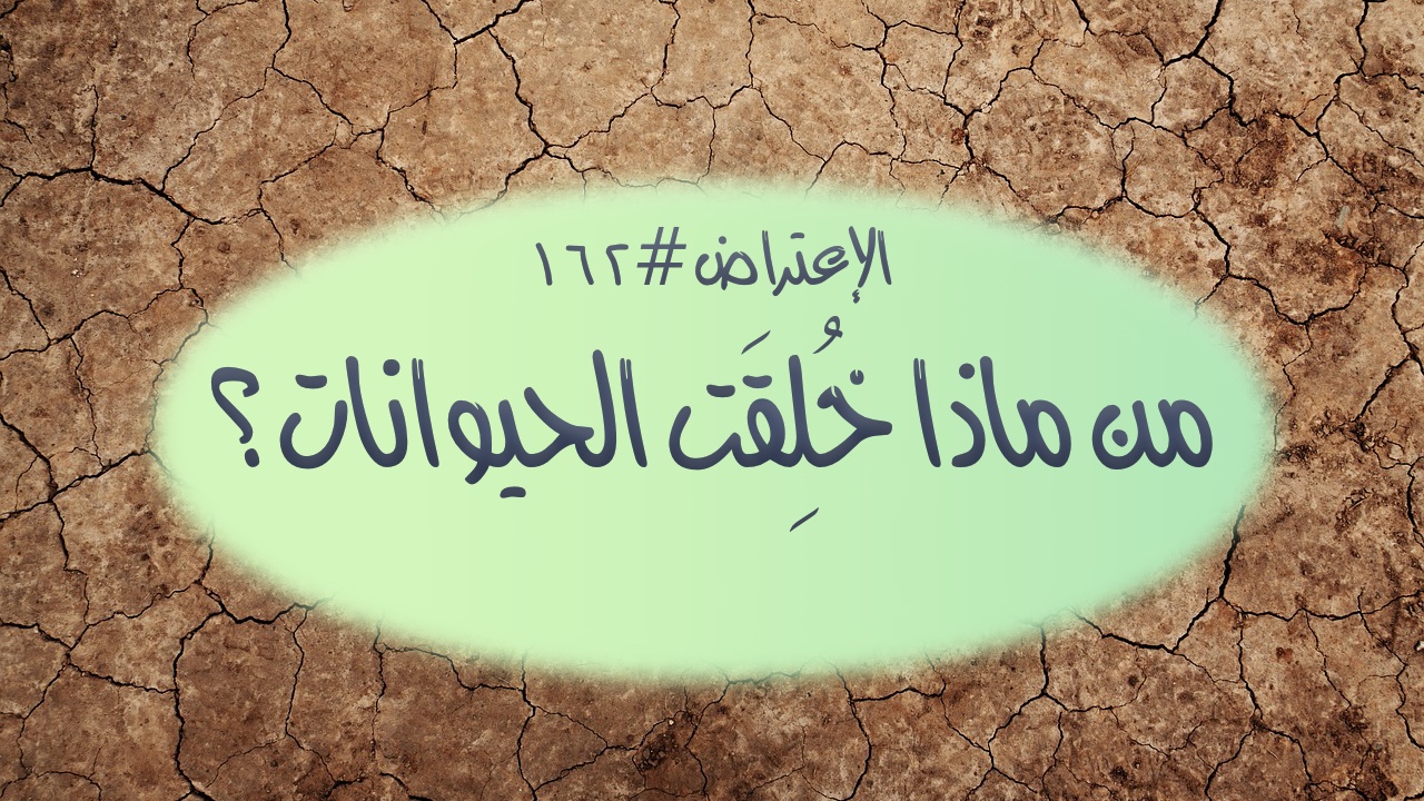 الاعتراض ١٦٢: ممَّا خُلِقَت الحيوانات؟