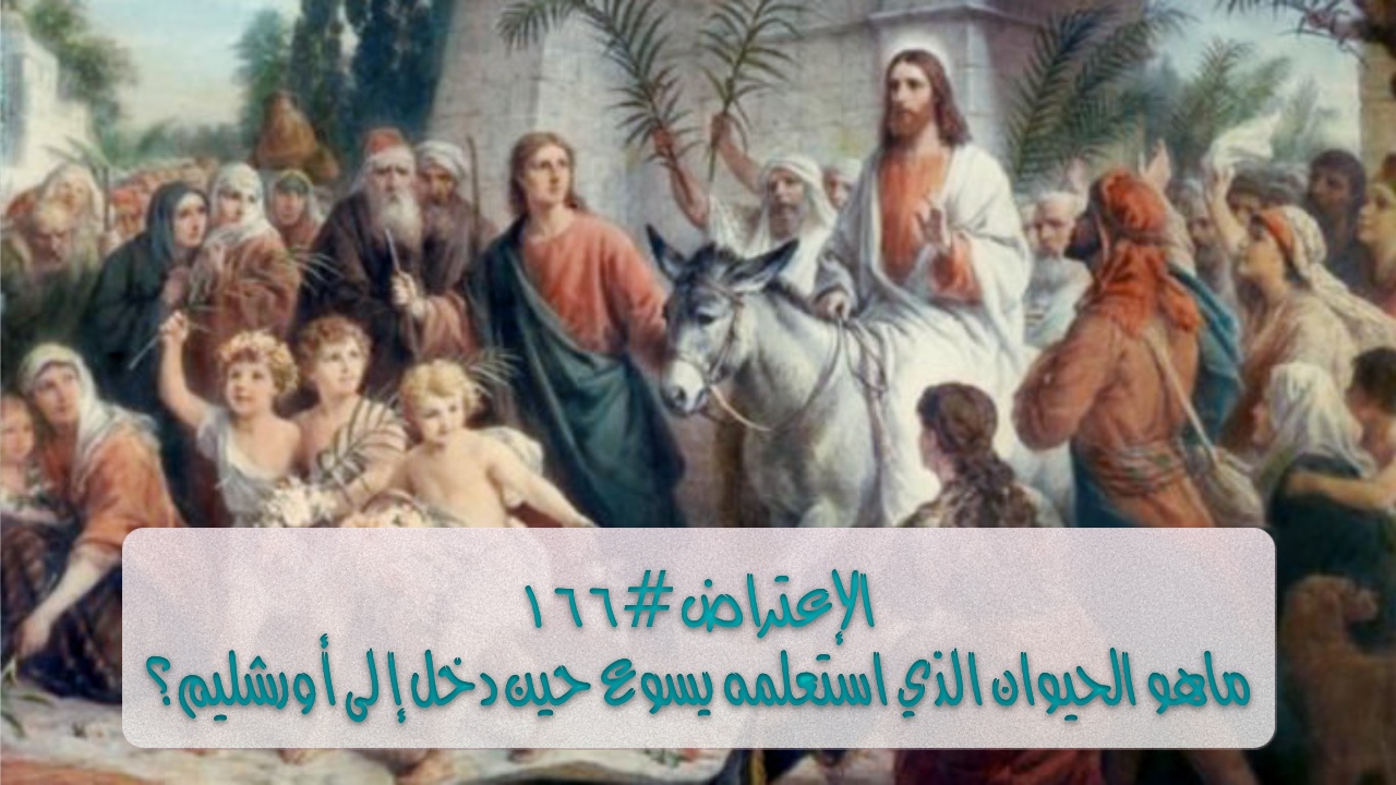 الاعتراض ١٦٦: ما هو الحيوان الذي استعمله يسوع حين دخل إلى أورشليم؟
