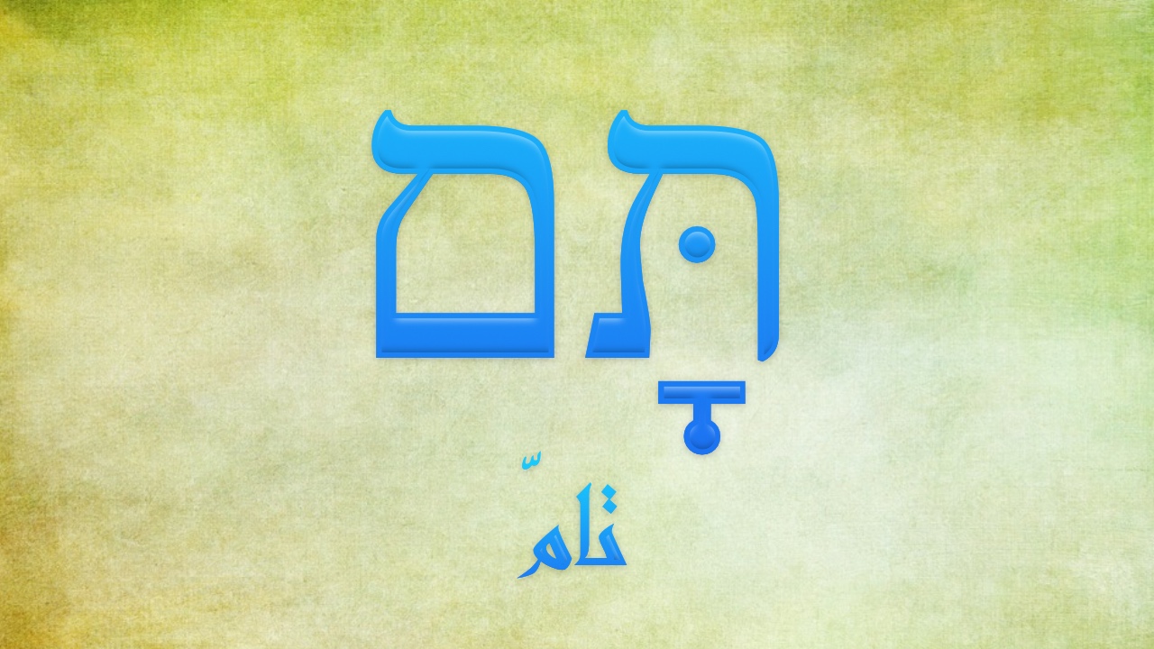 تامّ، תָּם