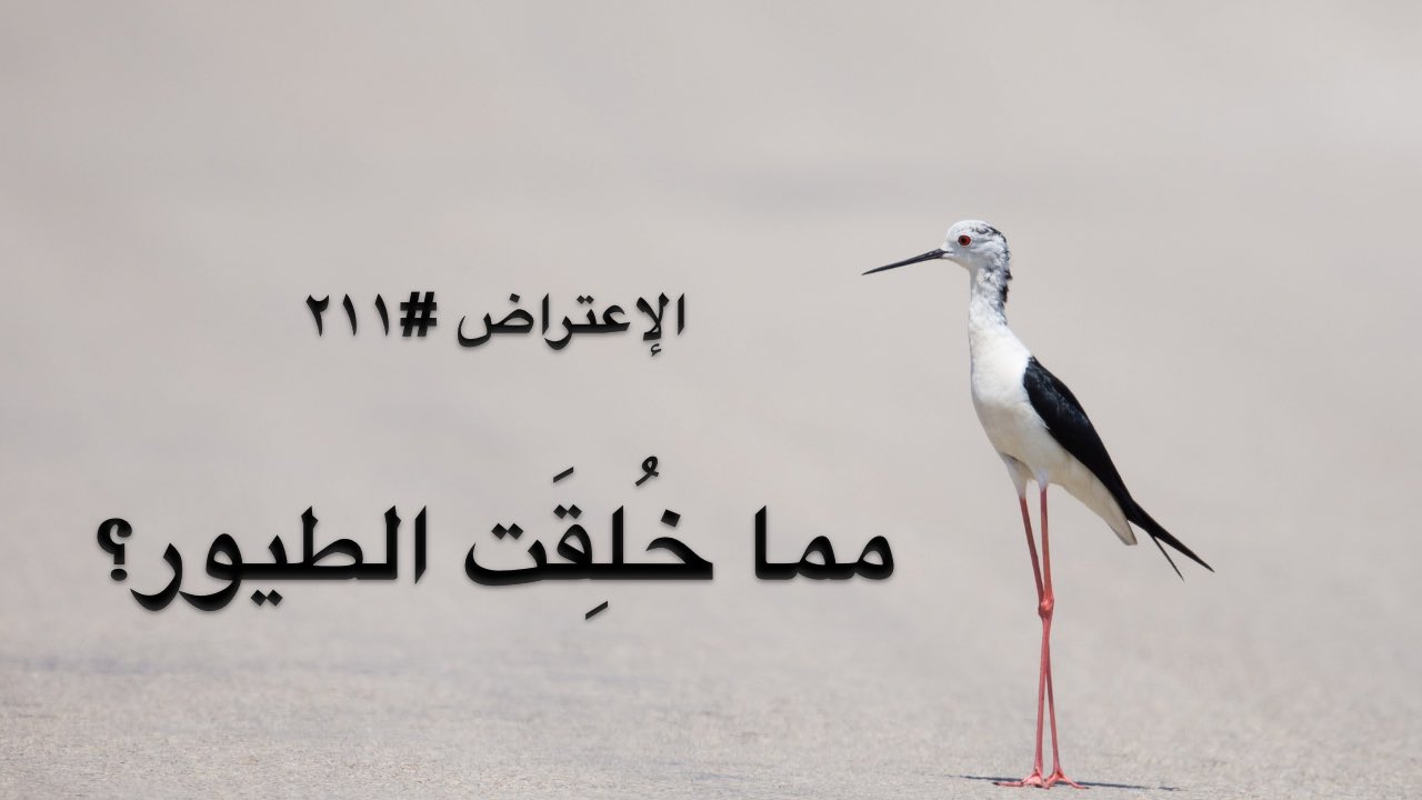الاعتراض ٢١١: ممَّا خُلِقَت الطيور؟